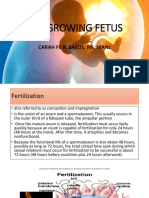 The Growing Fetus