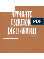 Apparato Escretore Animali