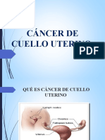 Presentacion Cáncer de Cuello Uterino