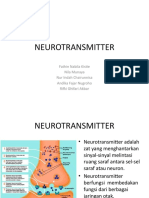 Neurotransmitter Gabungan