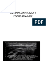 LAMINAS ANATOMIA Y ECOGRAFIA MSK