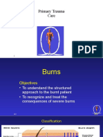 Burns - Final