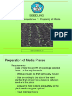 Seedling: Basic Competence 1: Preparing of Media