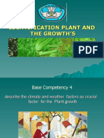 Identification Plant and The Growth'S
