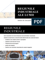 Proiect Regiunile industriale