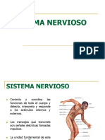 Sistema Nervioso 2