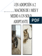 ADOPCION