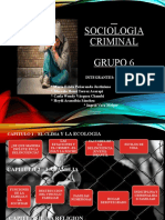 Sociologia Criminal, Grupo 6 Original