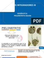 Diapositivas - Pielonefritis