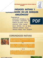 PDF Comunidades Nativas Compress