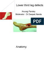 Lower Third Leg Defects: Anurag Pandey Moderator: DR Deepak Nanda