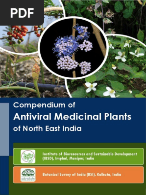 全色セット　ベルベットアーツ　デイジー　0.4g 1717758301?v=1