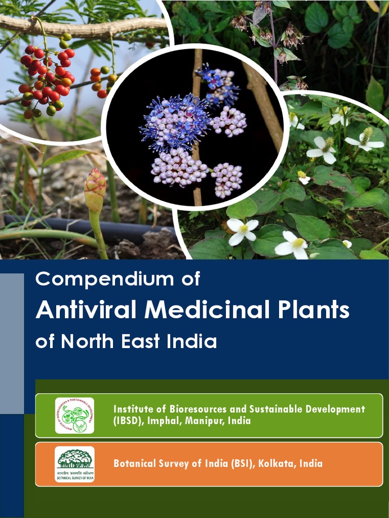 IBSD Antiviral Compendium | PDF | Pharmacology | Medicine
