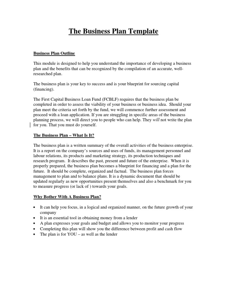 Business Plan Template Guide | PDF | Retail | Business Plan