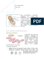 Atividade 1 - Microbiologia