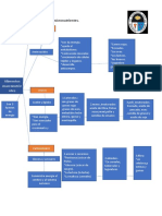 Mapa Mental de Micronutrientes