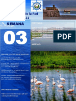 Boletin Epidemiológico Semana 3, Año 2021