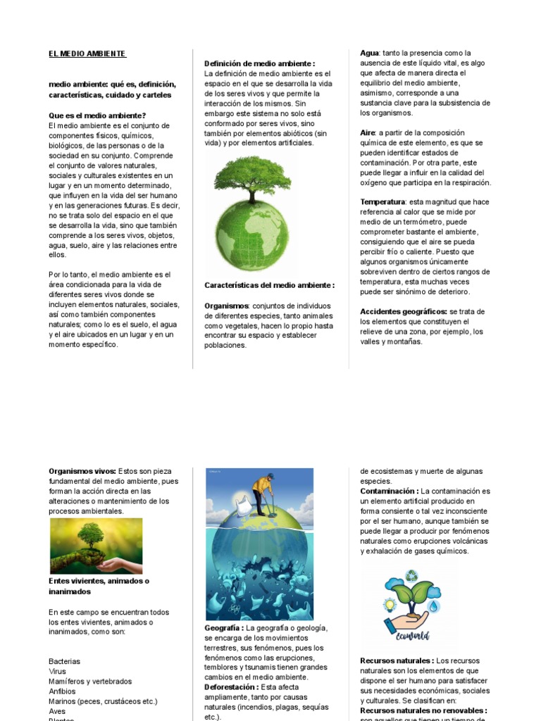 Medio Ambiente | PDF | Entorno natural | Vida