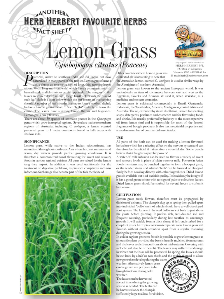 Lemon Grass: Cultivation & Uses Guide | PDF | Lemon | Perfume