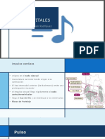 2 Presion, Pulso y Electrocardiograma