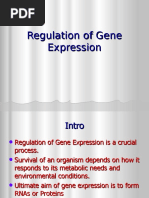 Regulation of Gene Expression