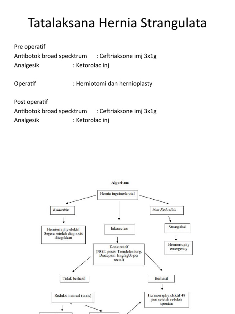 Tatalaksana Hernia Strangulata Pdf