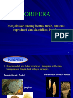 Porifera: Morfologi, Anatomi, dan Klasifikasi