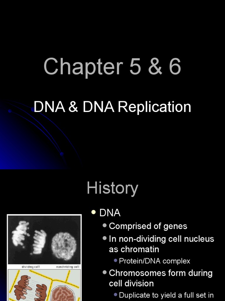 Chapter 5 & 6 - DNA & DNA Replication | PDF | Dna Replication | Dna