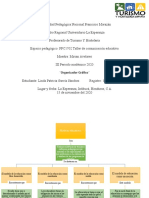 Organizador Grafico