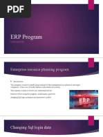 ERP Program: User Manual