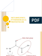 metabolismul proteinelor