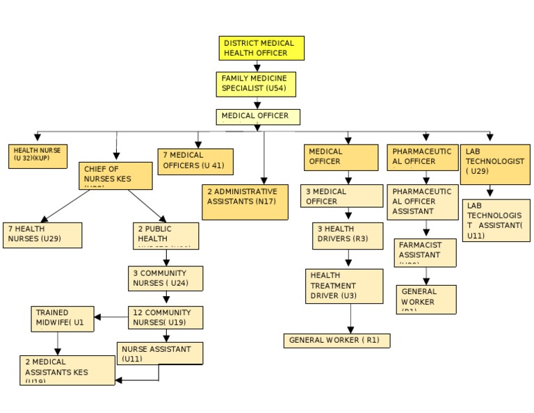 Healthcare Job Roles and Descriptions | PDF | Health Care | Health Sciences