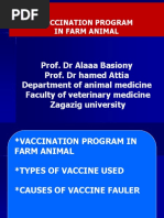 Vanguard 3-Year Rabies Vaccine for Pets | PDF | Vaccines | Biology