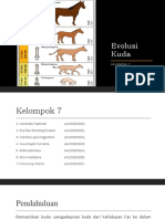 Evolusi Kuda (Revisi)