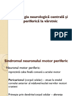 Neuron Motor