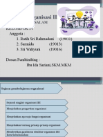 Struktur Organisasi IBI (MK PERILAKU)