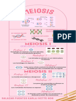 MEIOSIS