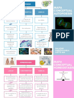 Autopoiesis y Homeostasis