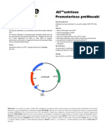 Promoterless pmWasabi-GFP