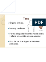 Anatomia Del TIMO