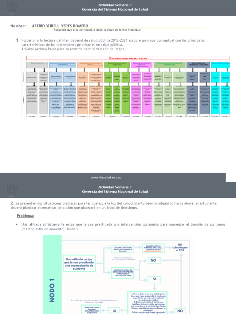 Mapa Conceptual Plan Decenal De Salud Publica 2012 2021 Pdf
