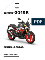 Ficha Técnica G 310 R - 2021