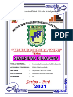 Seguridad Ciudadana