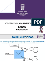 ACIDOS NUCLEICOS Polinucleotidos Kinesio