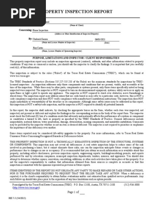 Home Inspection report of Shokouh Karimi