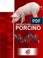 Producción Porcina: Guía Completa