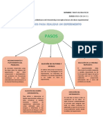 Pasos para Realizar Un Experimento