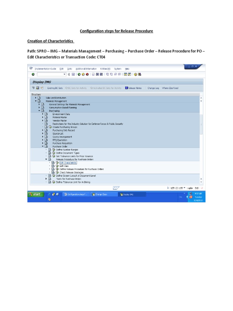 SAP Release Strategy Configuration Guide | PDF | Computing | Business