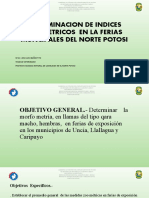 Determinacion de Indices Zoometricos en La Ferias Muncipales