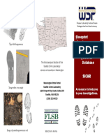 Shoeprint Image Capture and Retrieval Database: Sicar